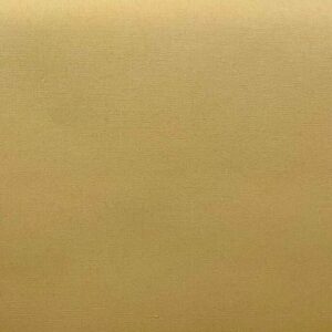 LONA CLÁSSICA LISA BEIGE