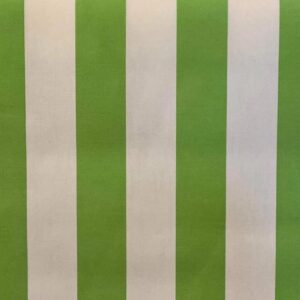 LONA CLÁSSICA RISCA VERDE ALFACE