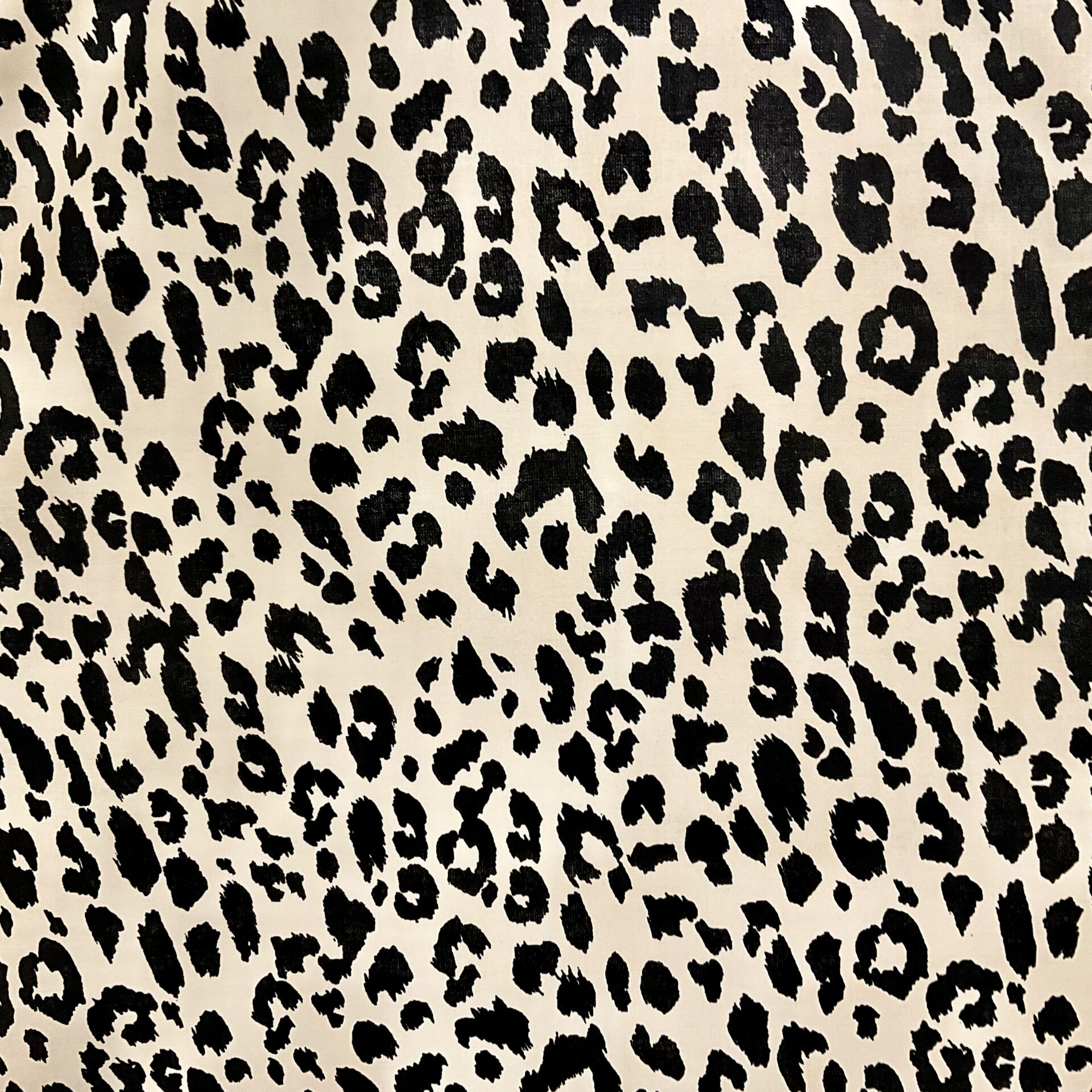 ANIMAL PRINT 3