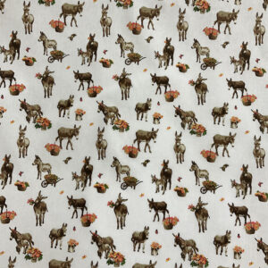BURROS