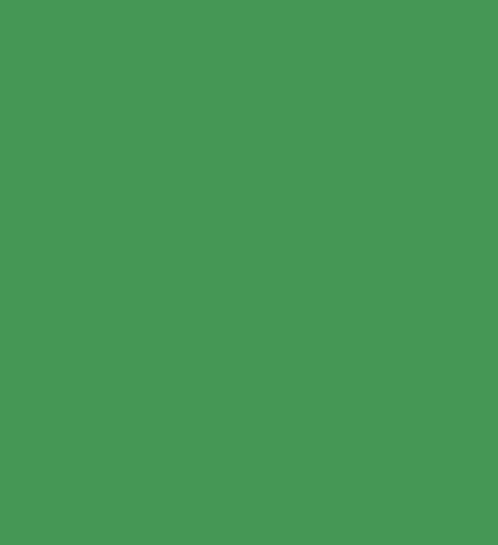 VERDE CLÁSSICO