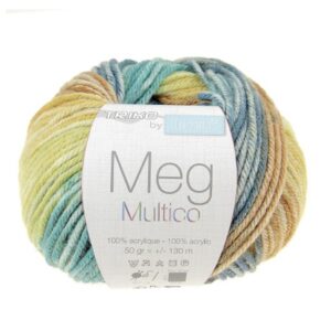 MEG