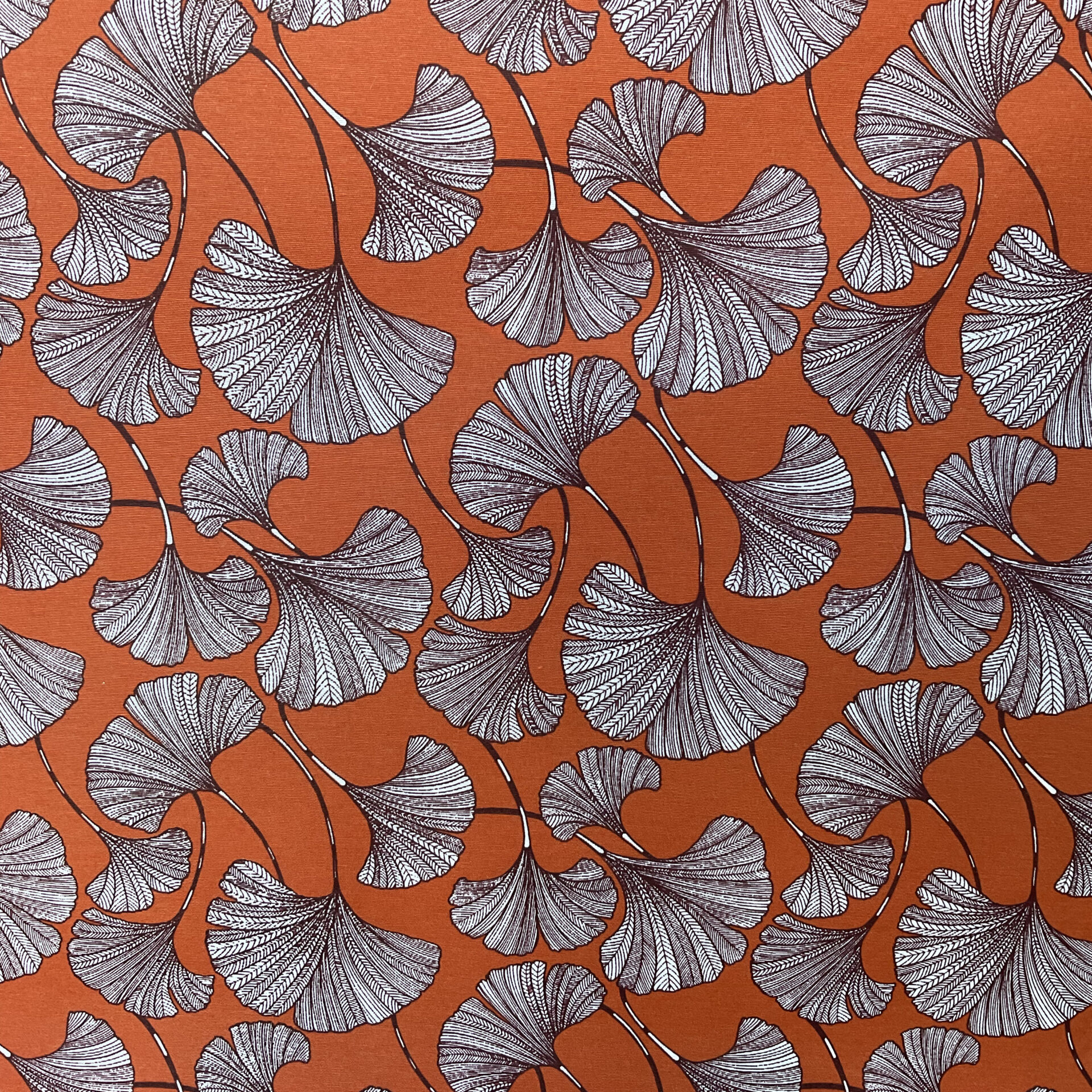 GINKGO ELEGANTE