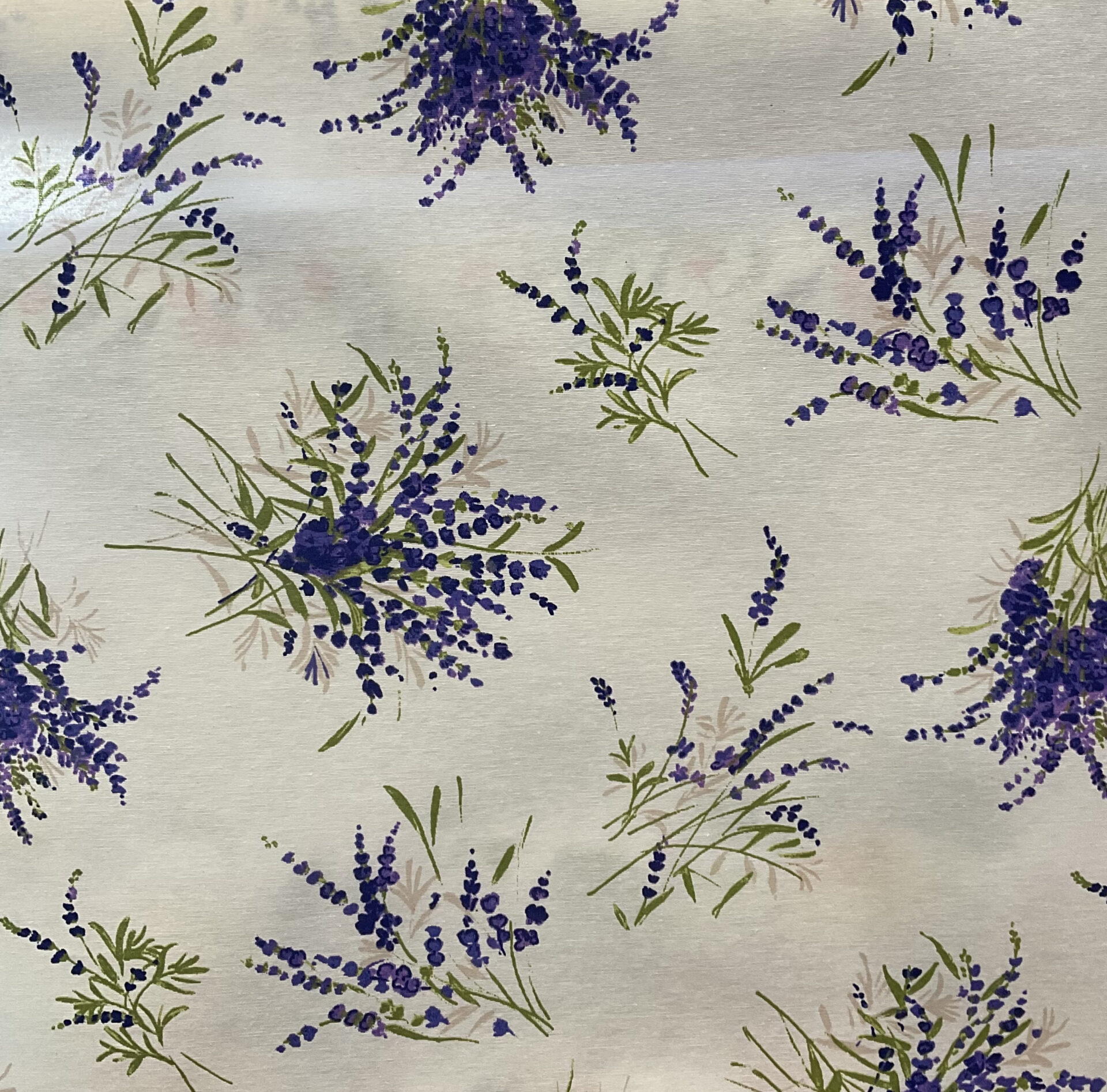 LAVANDA PROVENÇAL