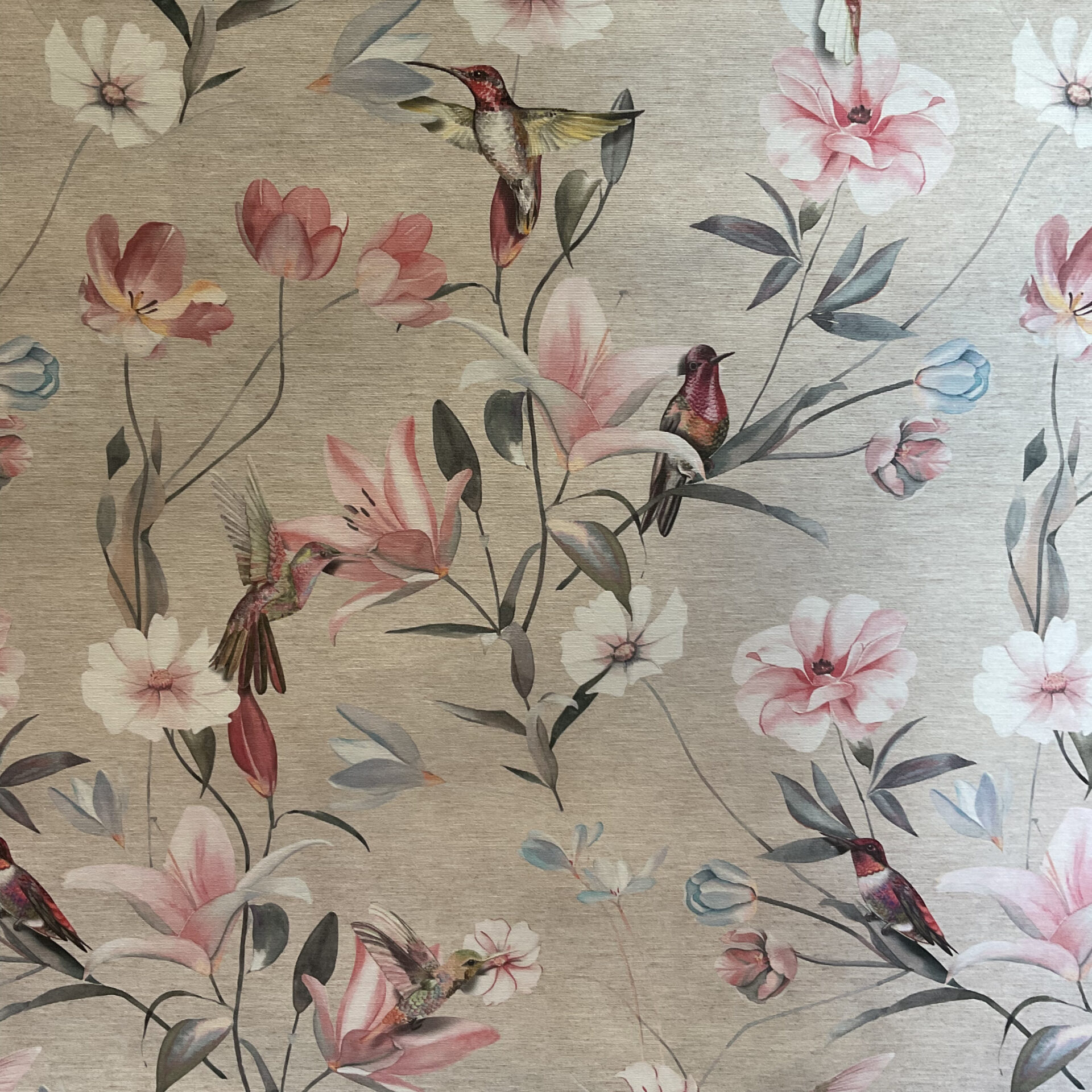 BEIJA-FLORES E FLORES ELEGANTES