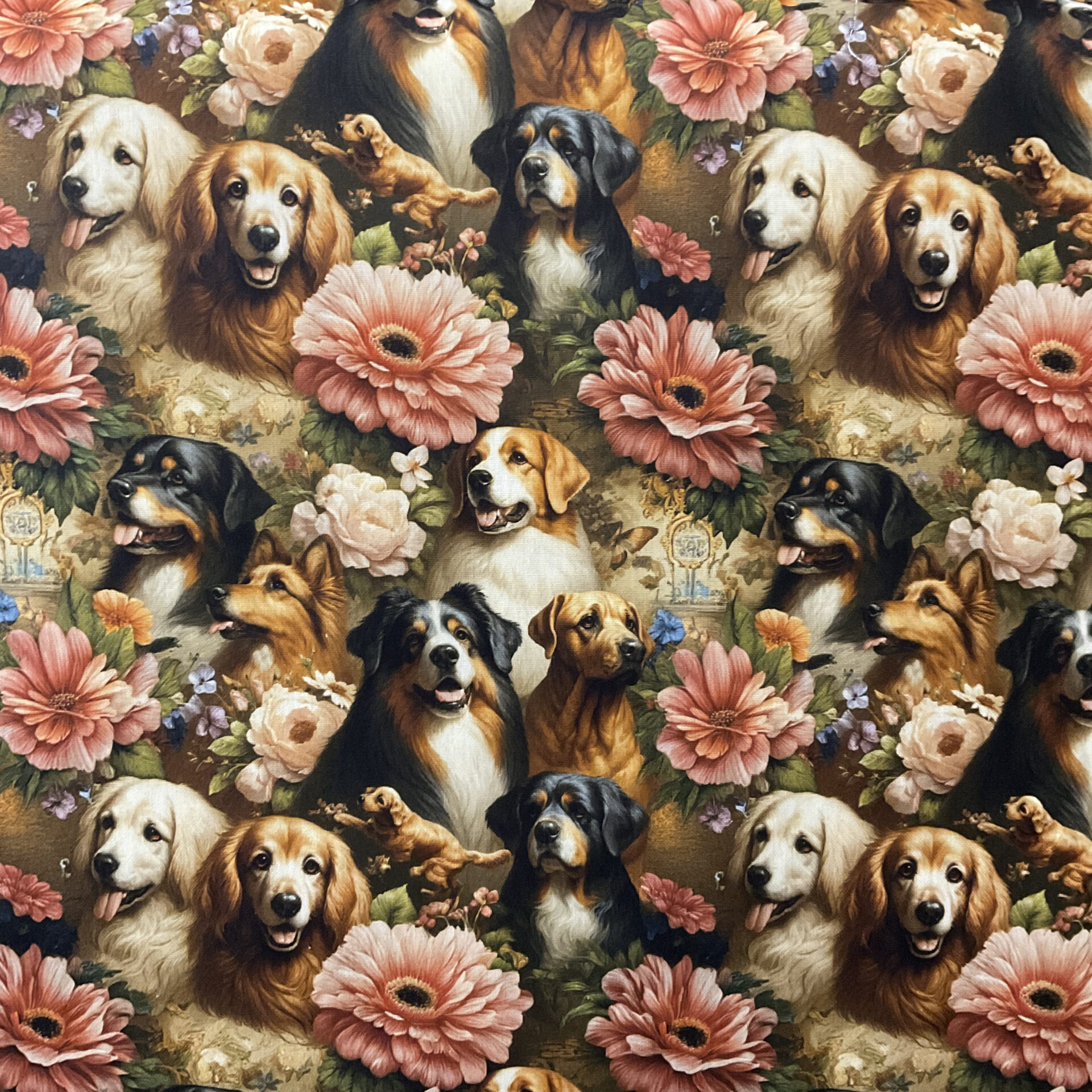 DIGITAL DOG