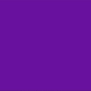 VIOLETA